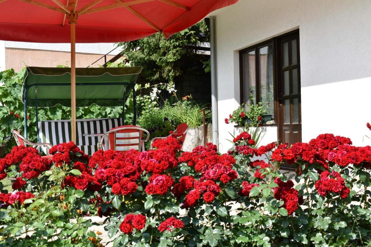 Apartmani "Vila Jelena" Arandjelovac Dış mekan fotoğraf