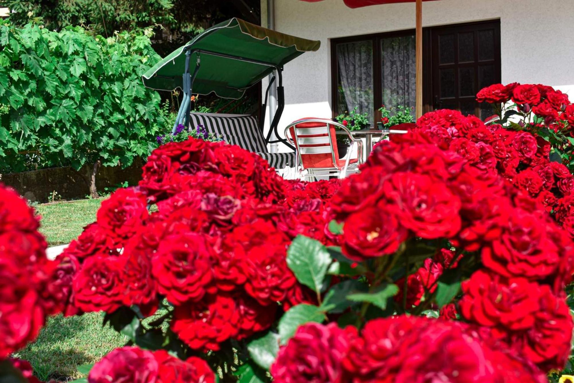 Apartmani "Vila Jelena" Arandjelovac Oda fotoğraf