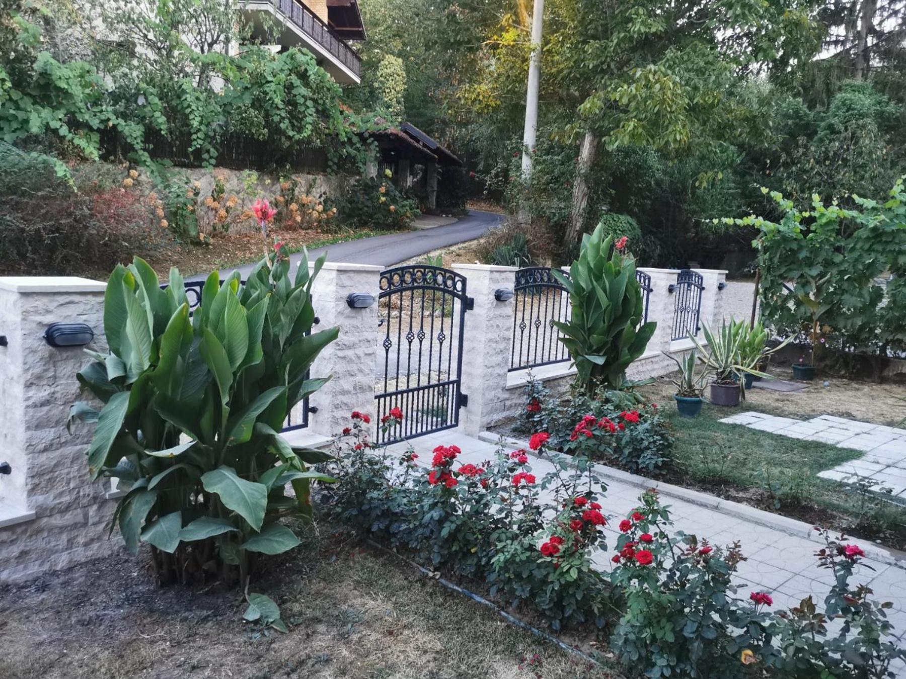 Apartmani "Vila Jelena" Arandjelovac Dış mekan fotoğraf