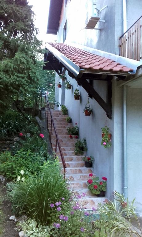Apartmani "Vila Jelena" Arandjelovac Dış mekan fotoğraf