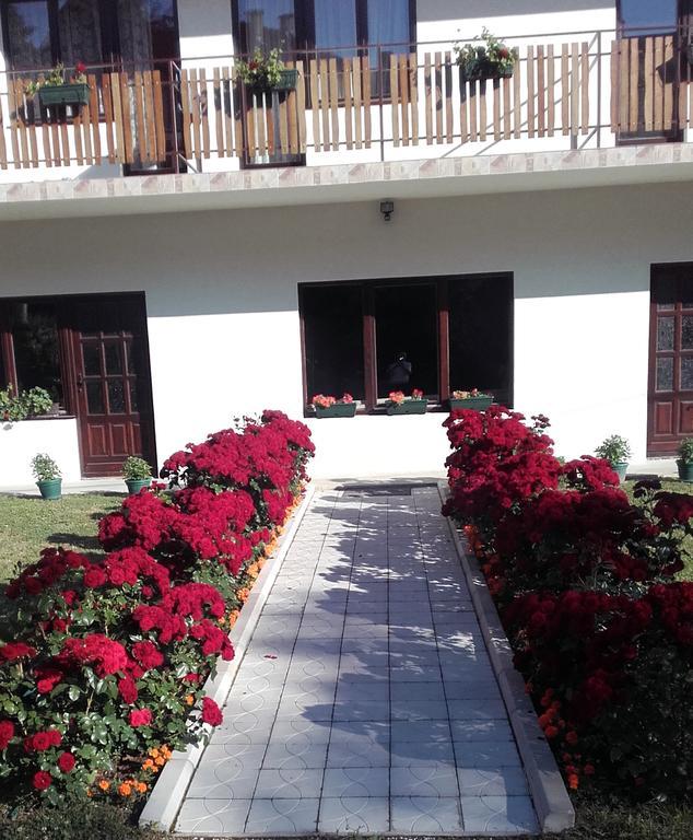 Apartmani "Vila Jelena" Arandjelovac Dış mekan fotoğraf